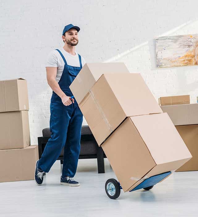 mover moving boxes in ottawa
