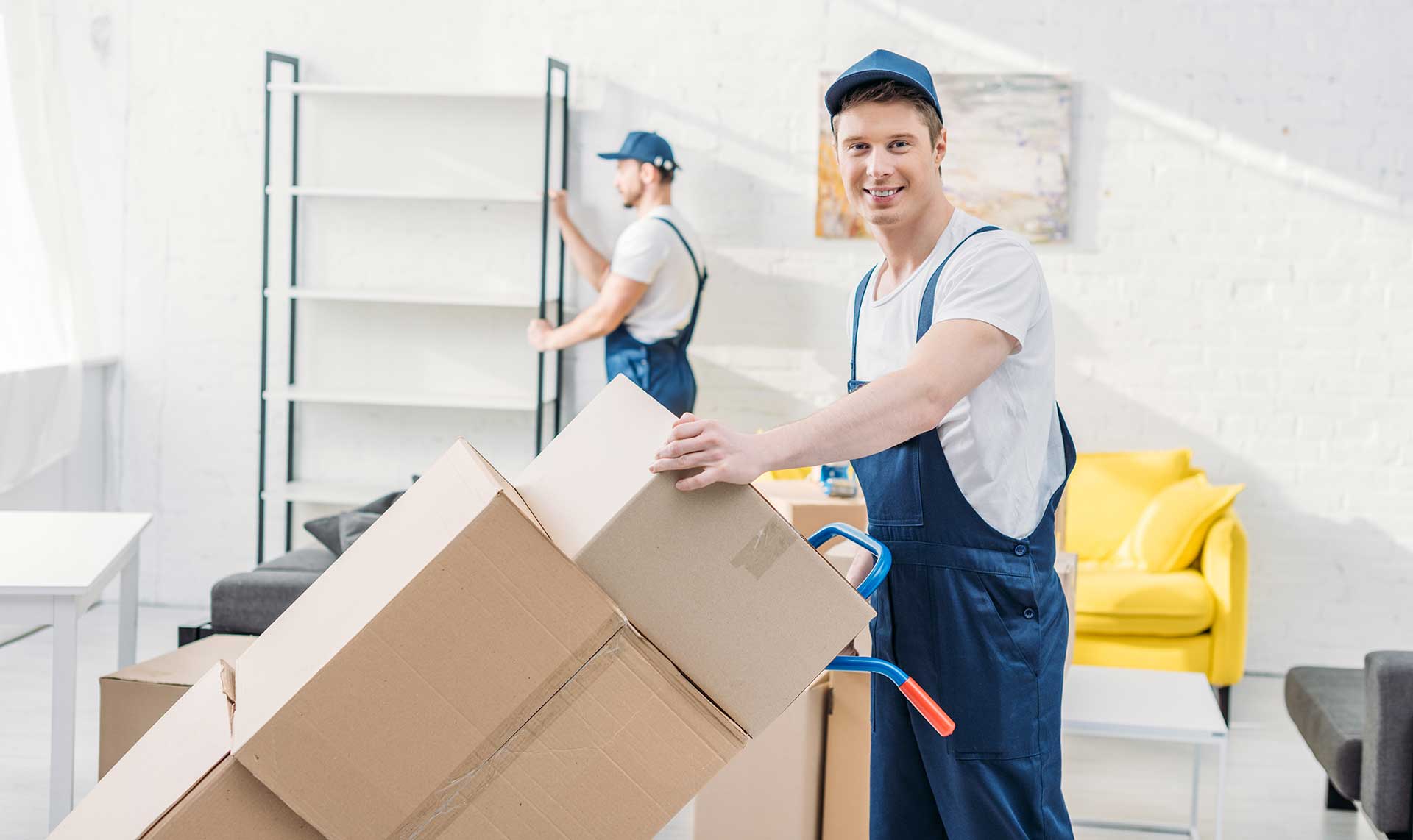 best ottawa movers moving company agency