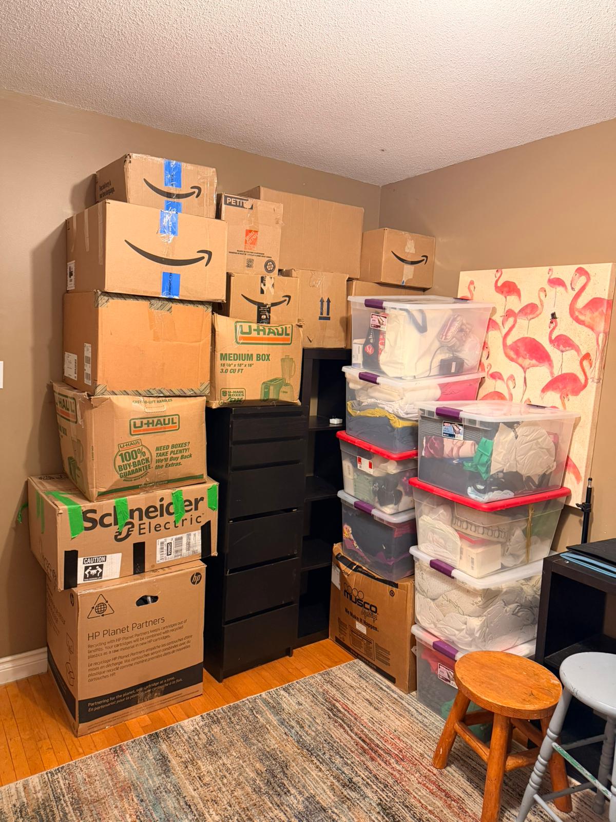 Movers for Ottawa City